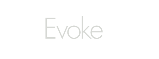 EvokeEHR-light